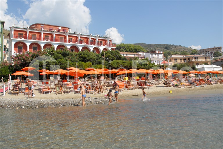 La Vela - Pioppi