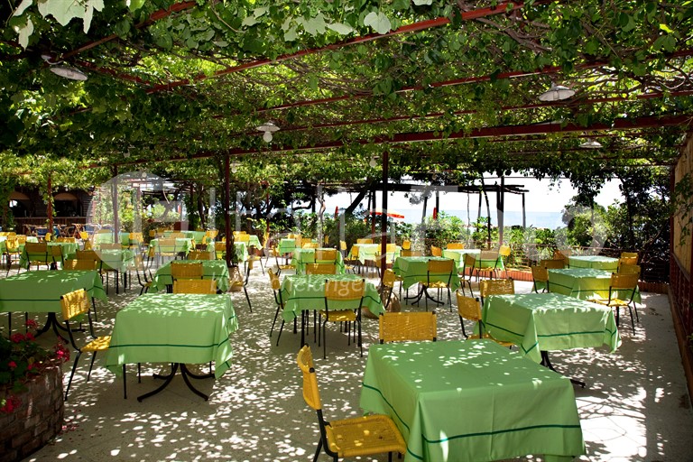 La Vela - Pioppi