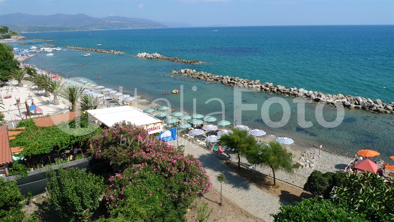 La Vela - Pioppi