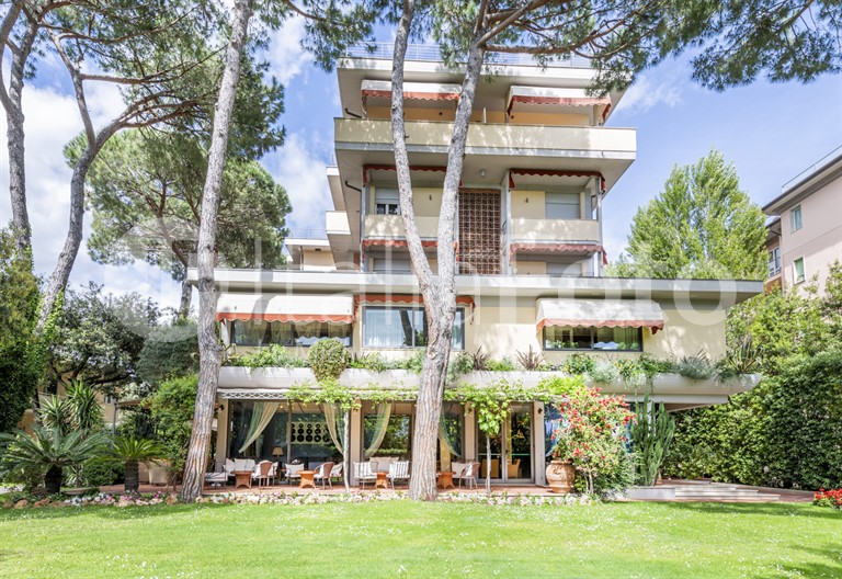 Andreaneri - Marina di Pietrasanta