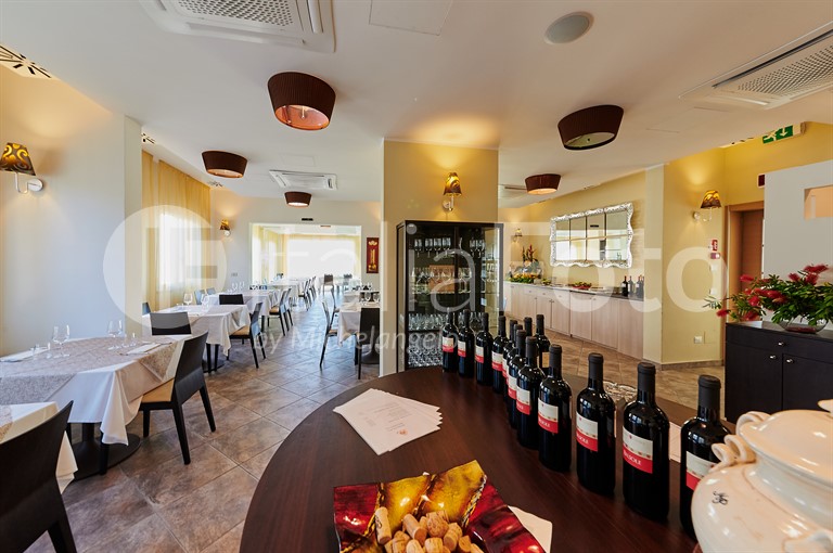 Mondial Resort & Spa - Marina di Pietrasanta