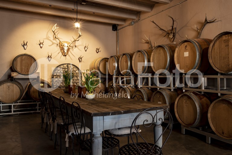 Tenuta Poggio il Castellare - Montalcino