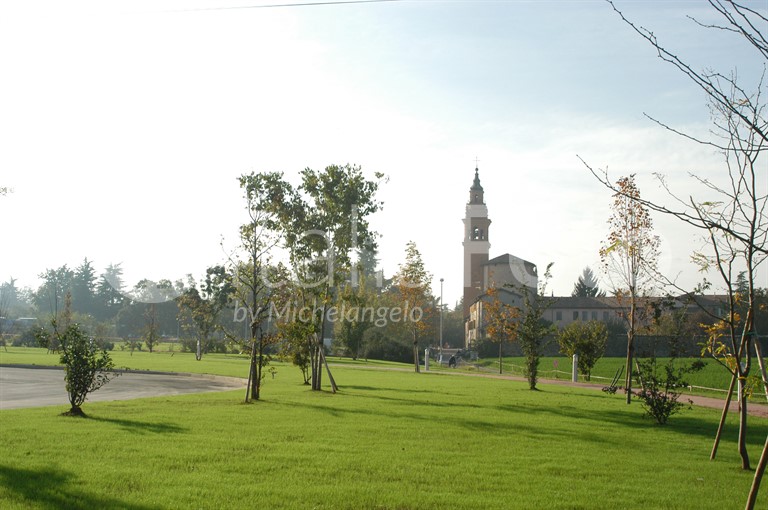 Conte Verde - Montecchio