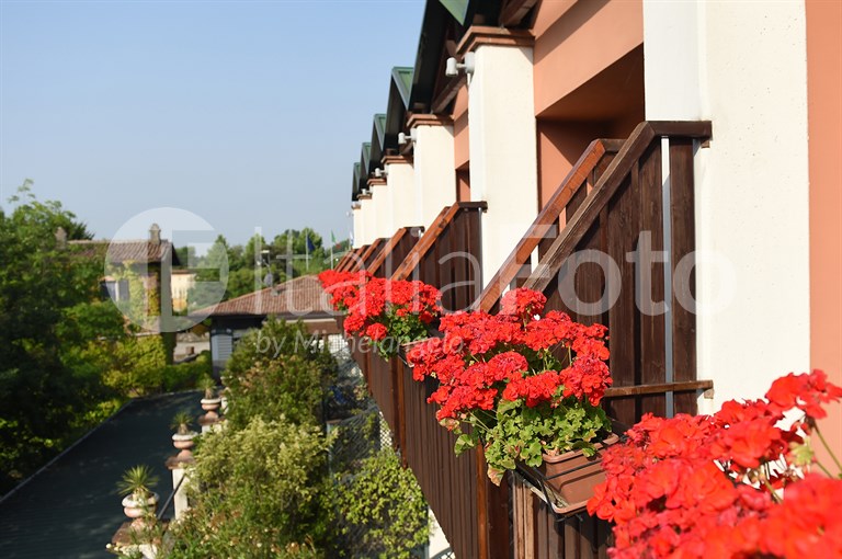  Iseo Lago - Iseo